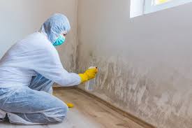 Best Mold Damage Restoration  in North Eagle Butte, SD