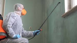 Best Mold Odor Removal Services  in North Eagle Butte, SD